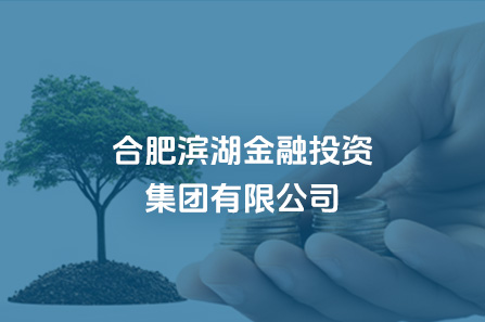 合肥yl6809永利金融投资集团有限公司