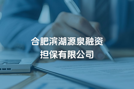 合肥yl6809永利源泉融资担保有限公司