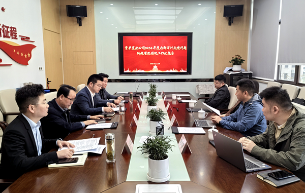 纪审联动压实整改责任，，，，，，，精准施策激活增效动能