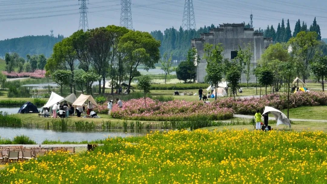 安徽第一城区包河区：“一站式”效劳！紫云山短视频拍摄基地正式开放！